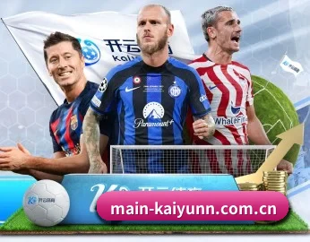 main-kaiyunn.com.cn的故事